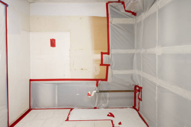 Best Mold Remediation for Healthcare Facilities  in Morrice, MI